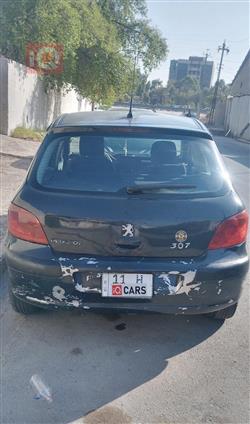 بيجو 307